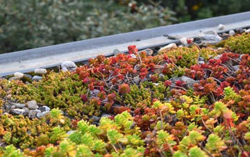the cost of Blarmachfoldach green roof installation