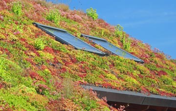 Blarmachfoldach living roof systems