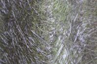 Blarmachfoldach fibreglass roof work